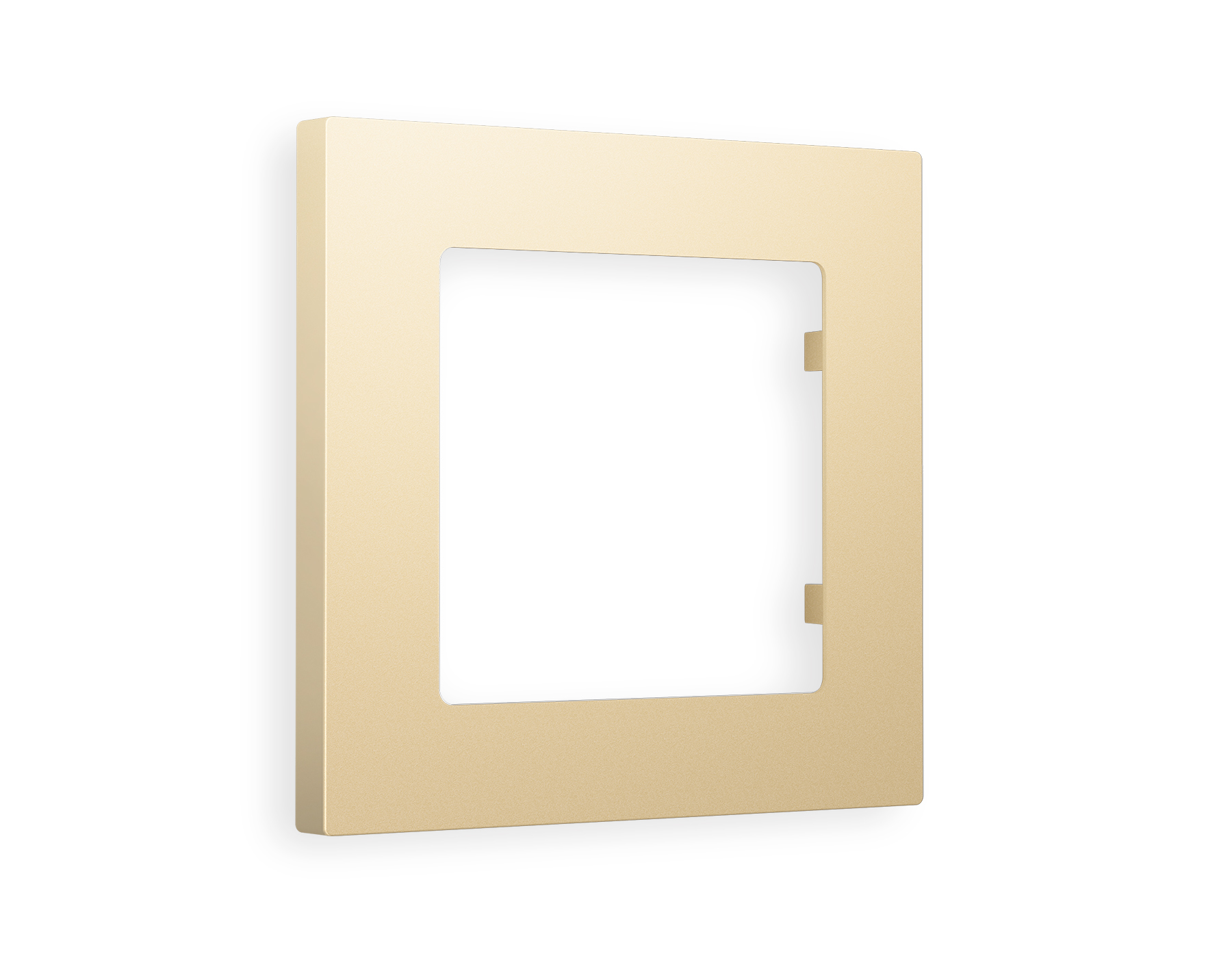 AF220601 Рамка ALFA Techno (Шампань) 1-ая