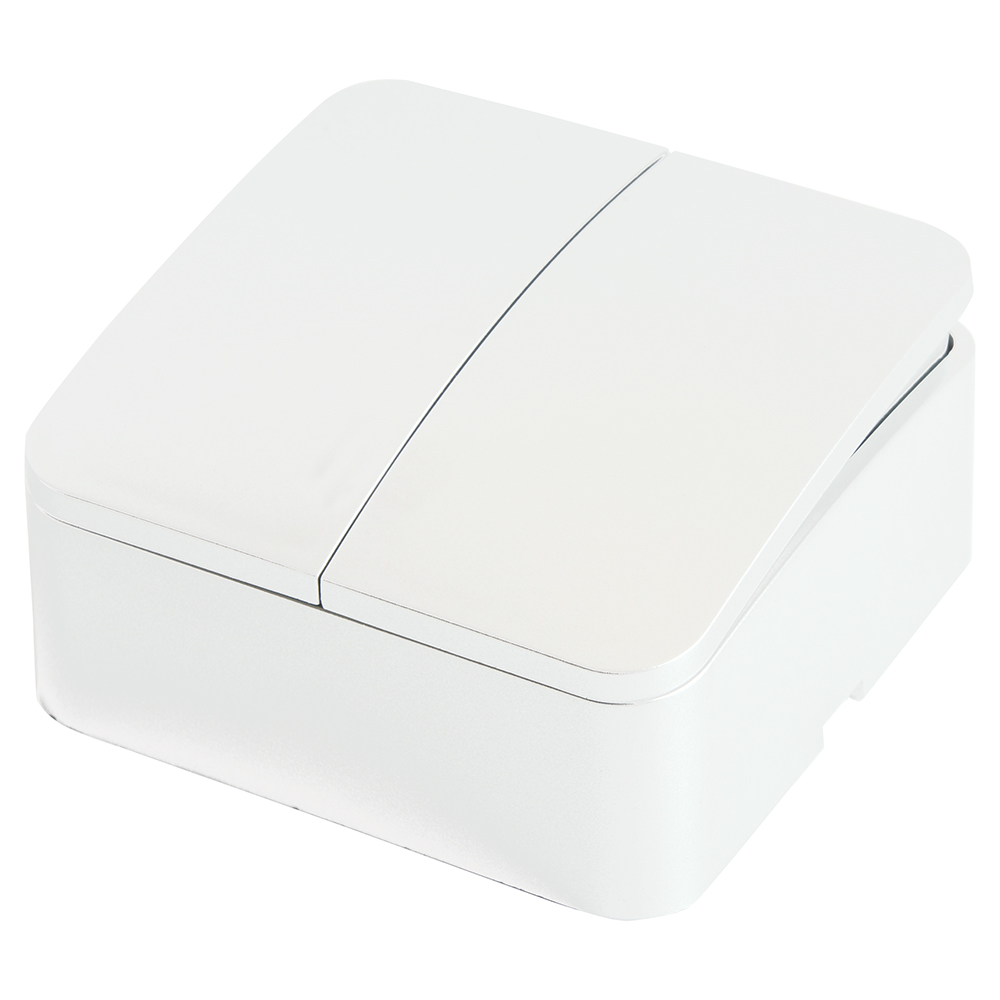 Выключатель открытой установки 2-клавишный, STEKKER, 250В, 10А, IP20, серия София, белый, MSW10-20-01