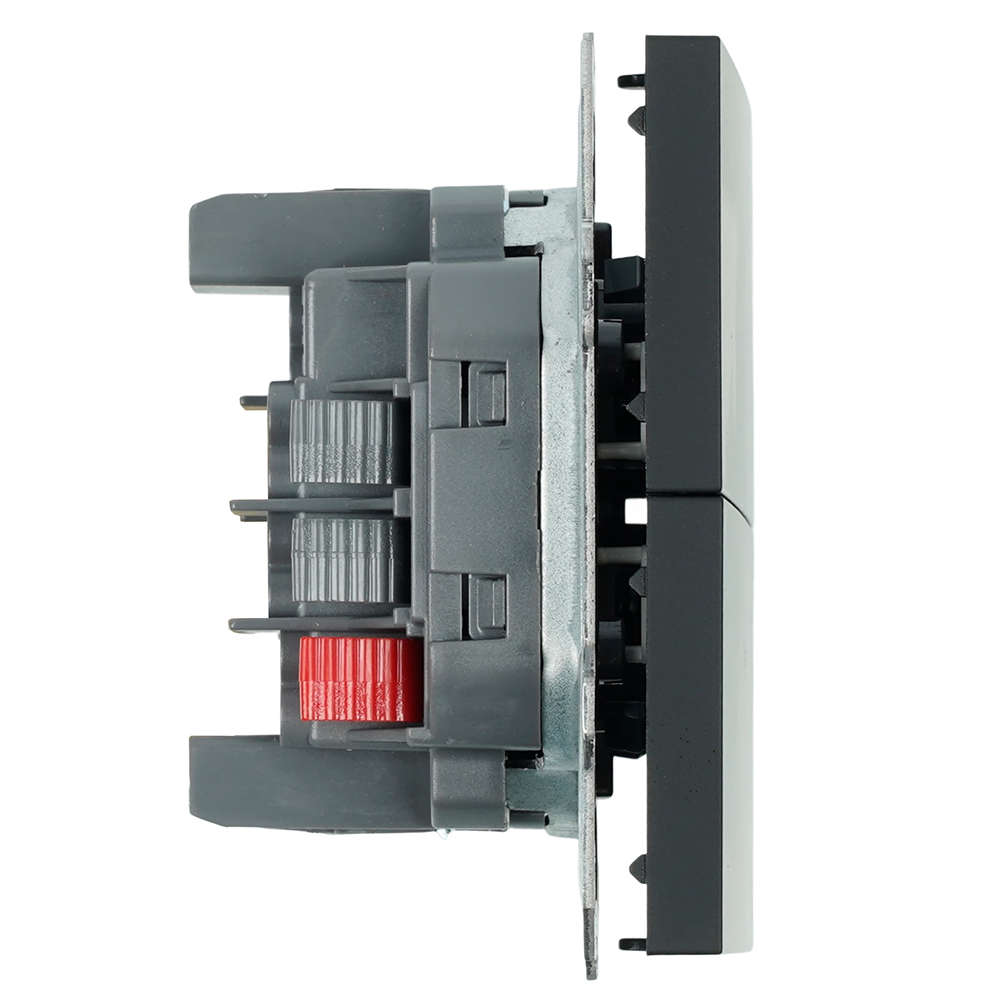 Переключатель 2-клавишный (механизм), СЗК, STEKKER, 250В, 10А, серия Эмили, RSW10-5107-05ZK, черный уголь, soft touch