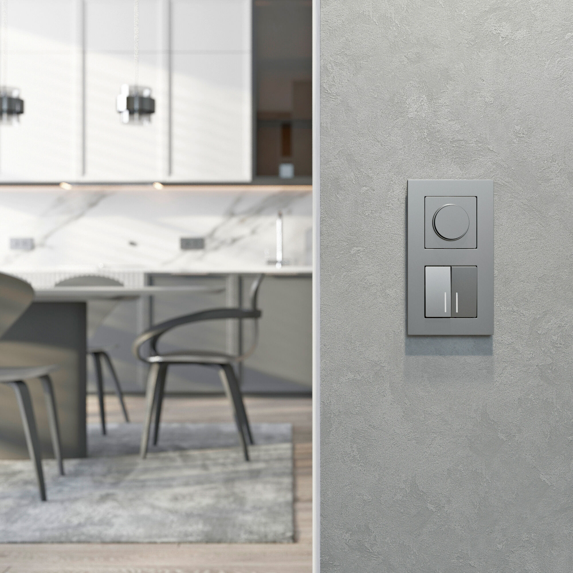 W1142065/ Диммер N (серебряный матовый) W1142065