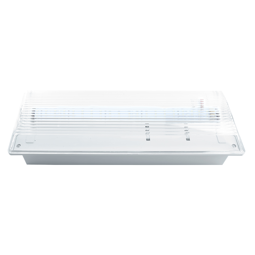 Светильник аварийный, 20 LED AC/DC, белый, EM100 Светильник аварийный, 20 LED AC/DC, белый, EM100