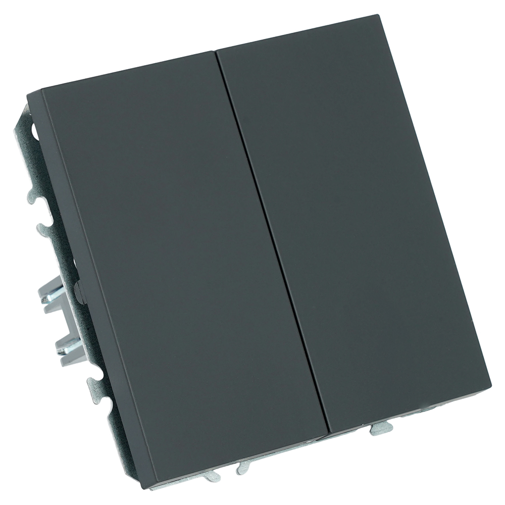 Переключатель 2-клавишный (механизм), СЗК, STEKKER, 250В, 10А, серия Эмили, RSW10-5107-05ZK, черный уголь, soft touch