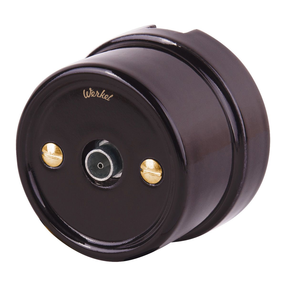 Винты для распределительной коробки/TV  розетки Werkel 2 шт. (золото) Ретро WL18-22-01