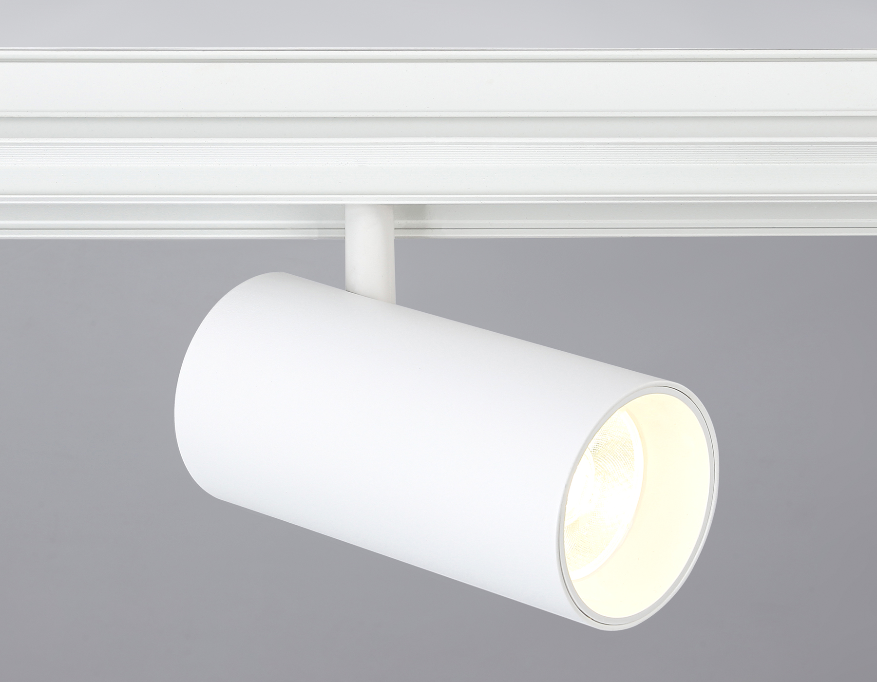 Трековый низковольтный светильник GL3838 WH белый IP20 20W 4200K 48V 24° D67*138