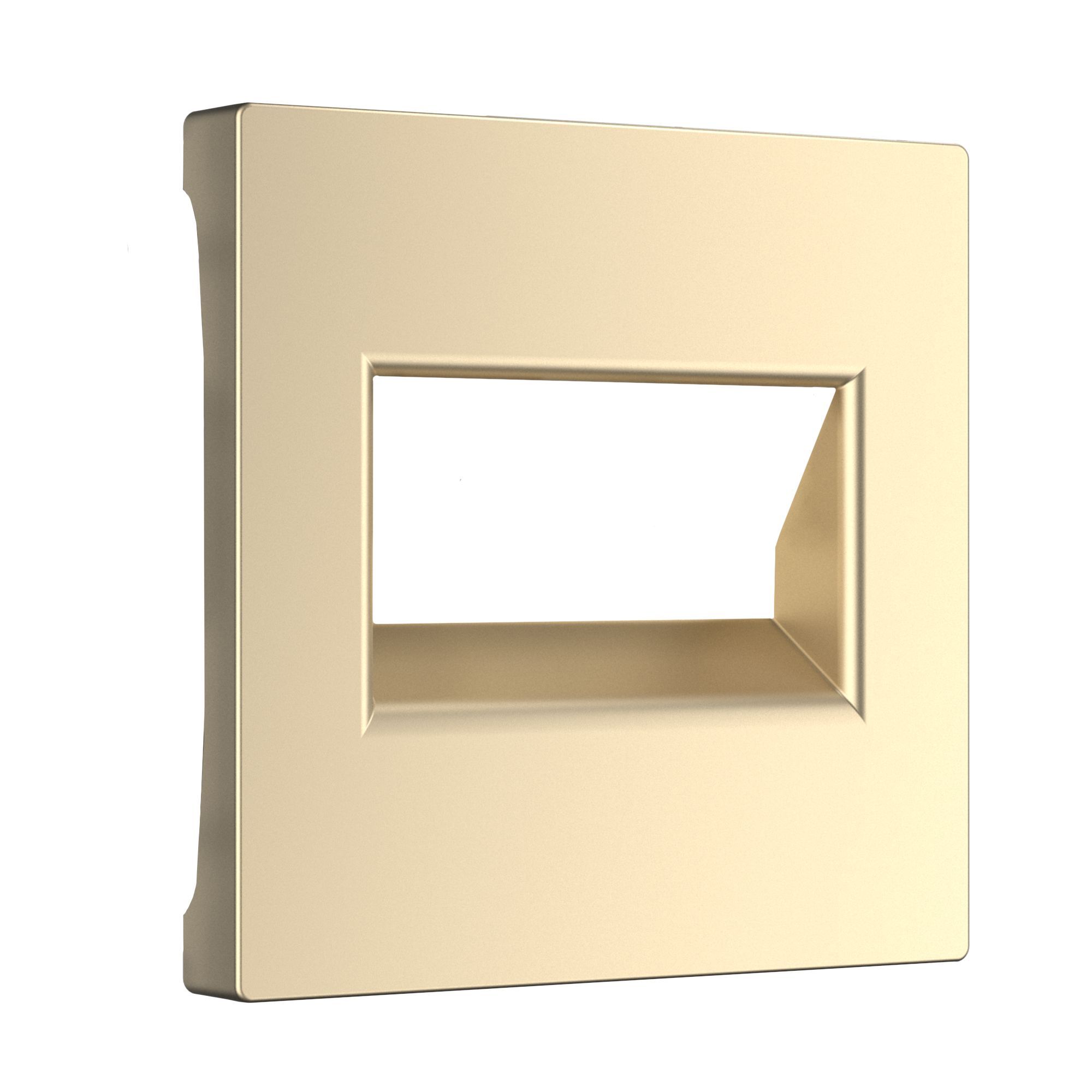 Накладка для двойной розетки Еthernet RJ-45 WERKEL (шампань) WL11-RJ45+RJ45-CP / W1191111 / a040911