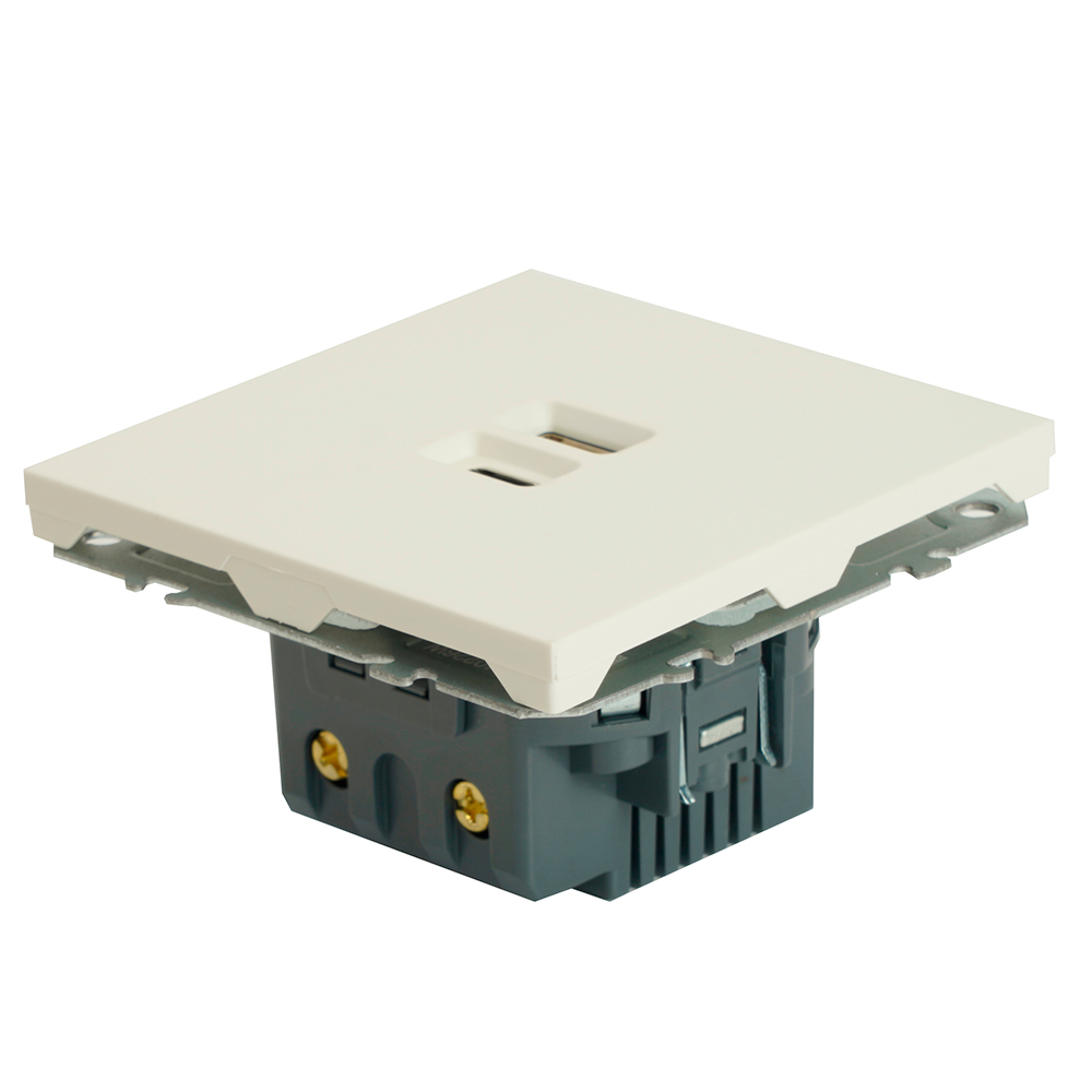Розетка 2-местная USB + Type C (механизм), STEKKER, 250В, 20W, серия Эмили, RST10-5115-01, белый фарфор, soft touch