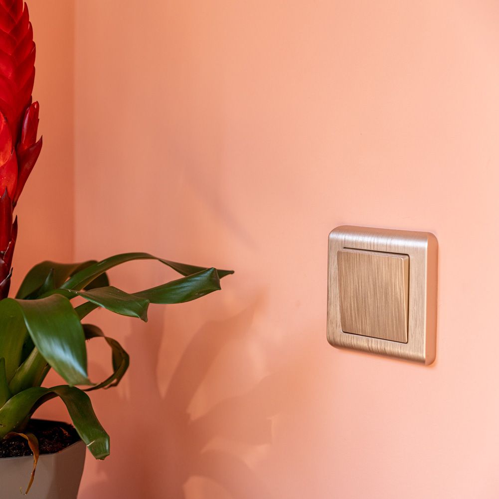 Выключатель одноклавишный проходной WERKEL (шампань рифленый) WL10-SW-1G-2W / W1112010 / a035611