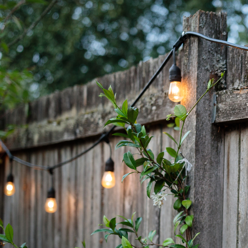 Лампа светодиодная Feron LB-384 E27 0,5W 230V 2700K Лампа светодиодная Feron LB-384 E27 0,5W 230V 2700K