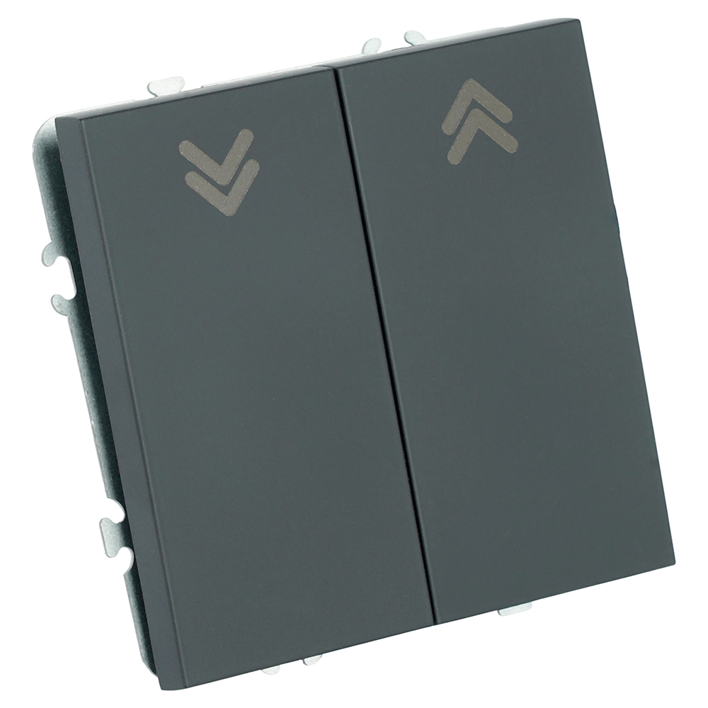 Выключатель 2-клавишный самовозвратный (механизм), STEKKER, 250В, 10А, серия Эмили, RSW10-5113-05, черный уголь, soft touch