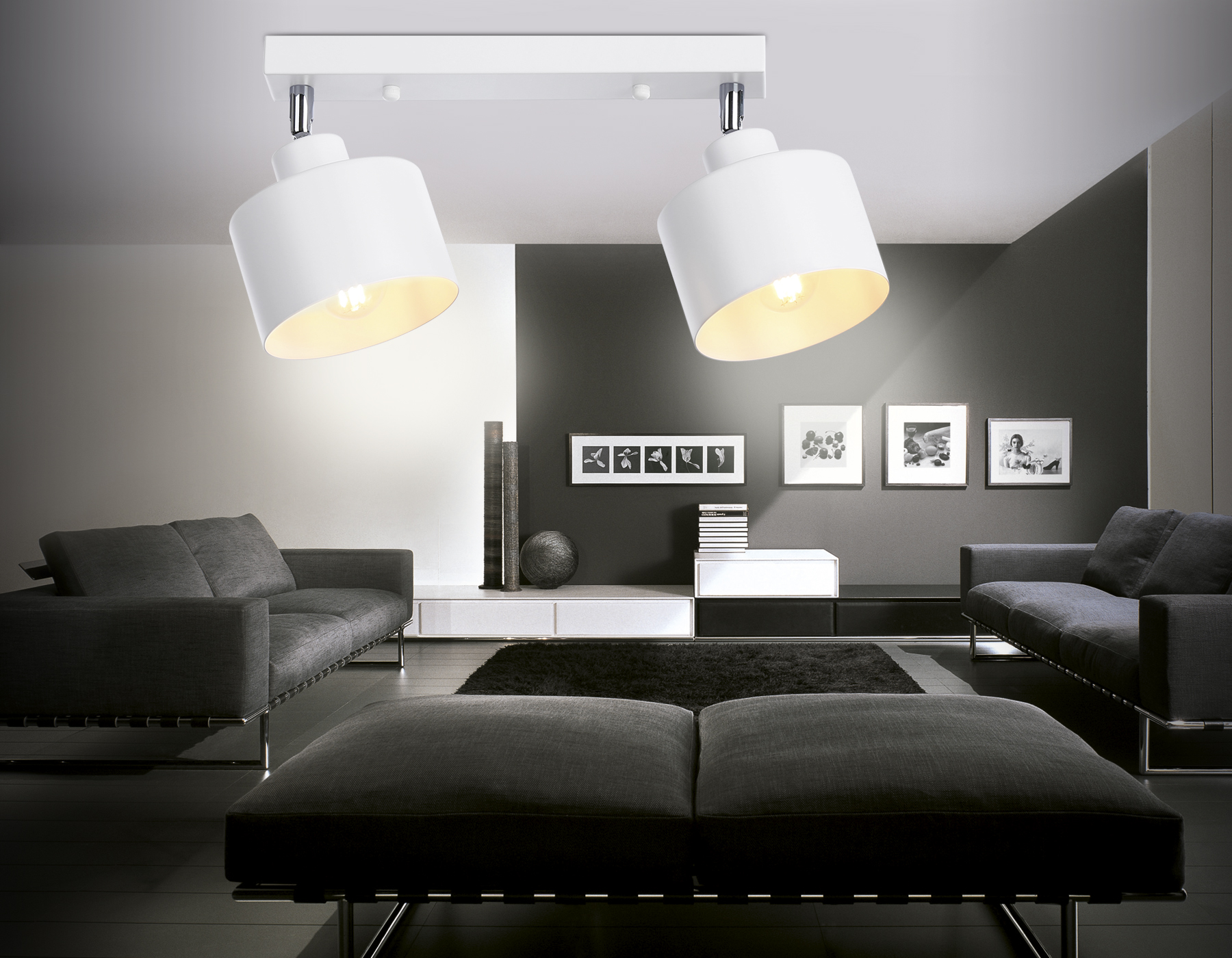 Настенно-потолочный спот Настенно-потолочный спот TR8141/2 WH белый E27*2 max 40W 340*120*180 Настенно-потолочный спот Настенно-потолочный спот TR8141/2 WH белый E27*2 max 40W 340*120*180